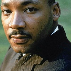 Meet your Posher, Fred